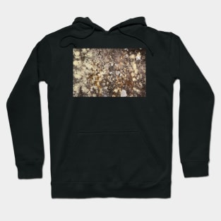 Fungus on rock Hoodie